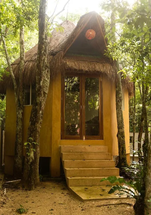 Bed & Breakfast Aldea Tucanes Francisco Uh May Mexiko