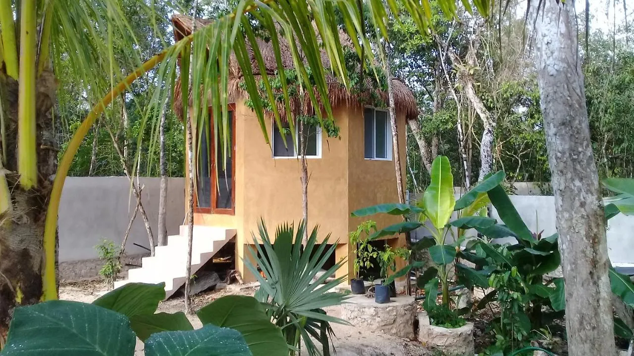 Bed & Breakfast Aldea Tucanes Francisco Uh May