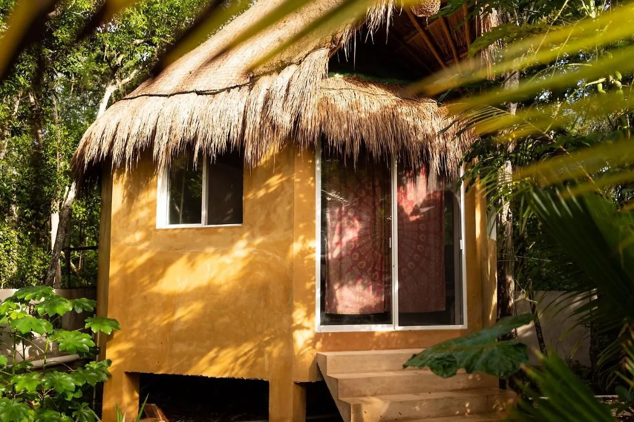 Aldea Tucanes Francisco Uh May Bed & Breakfast