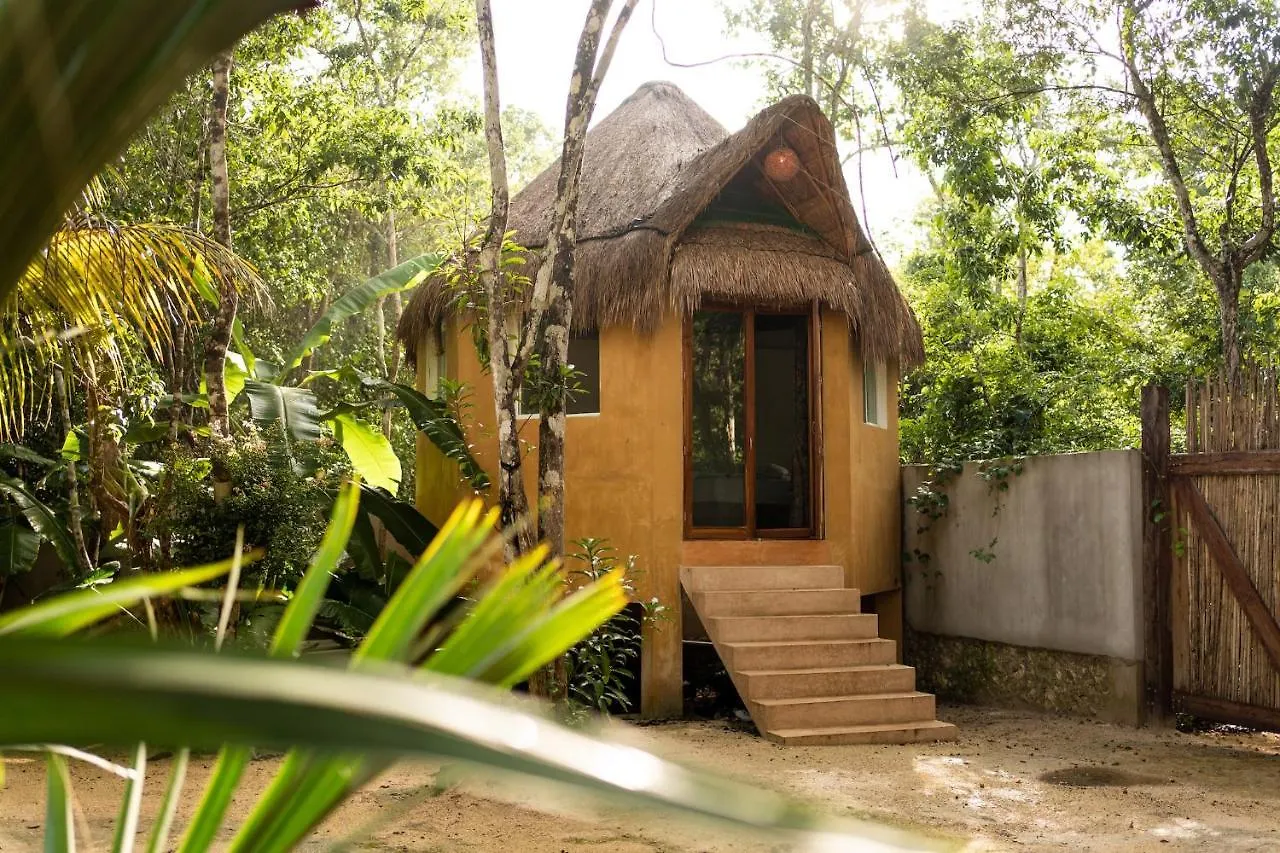 Bed & Breakfast Aldea Tucanes Francisco Uh May Mexiko