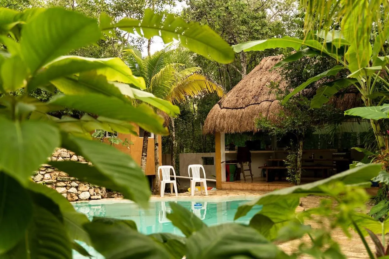 Aldea Tucanes Francisco Uh May Bed & Breakfast