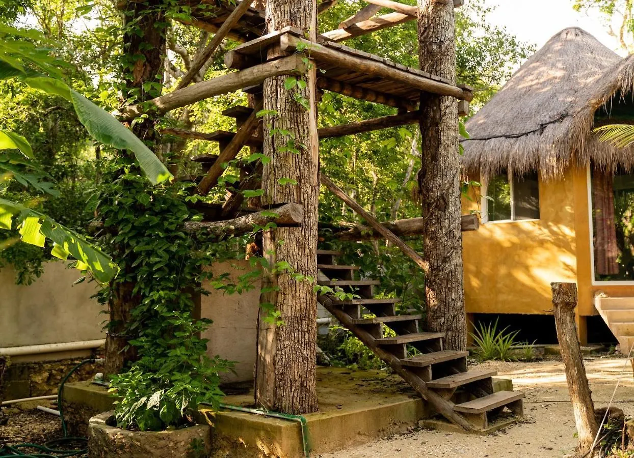 Bed & Breakfast Aldea Tucanes Francisco Uh May
