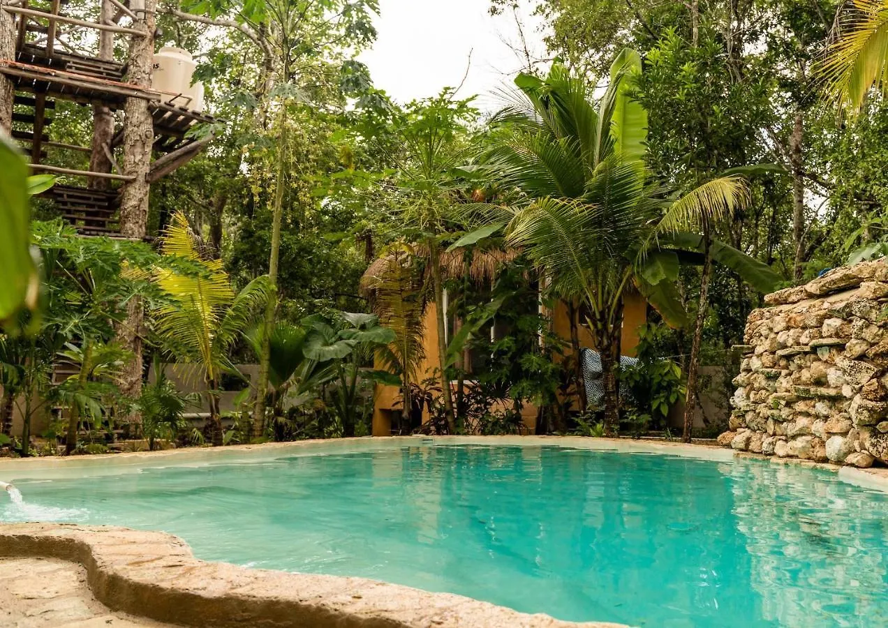 Aldea Tucanes Francisco Uh May Bed & Breakfast