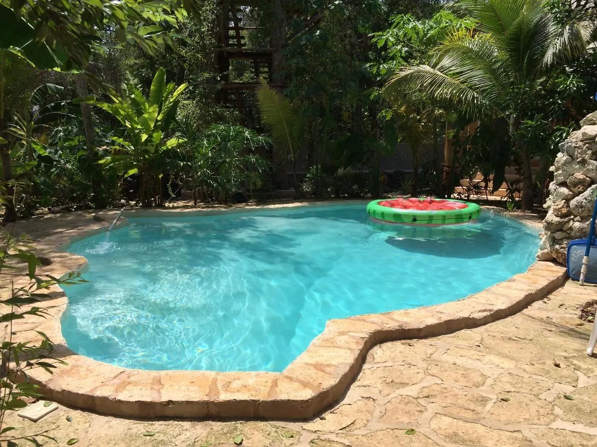 Bed & Breakfast Aldea Tucanes Francisco Uh May