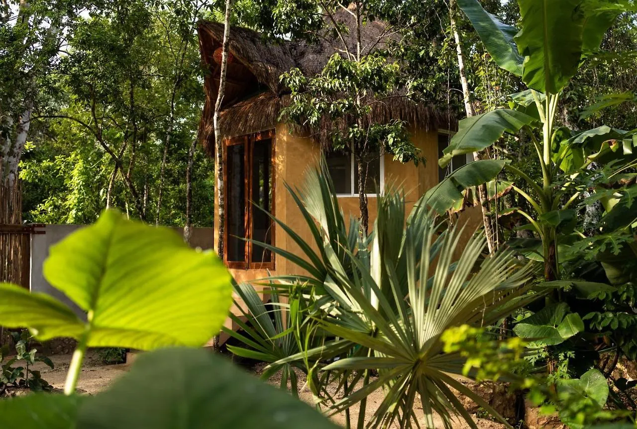 Bed & Breakfast Aldea Tucanes Francisco Uh May